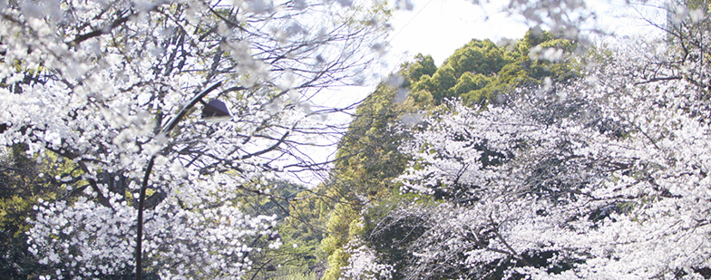 駒沢オリンピック公園